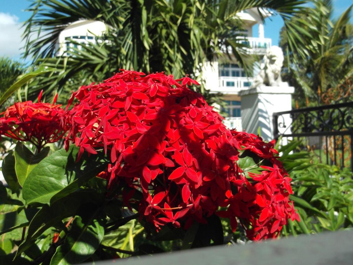 Luxor Residence Guesthouse Belle Mare Dış mekan fotoğraf